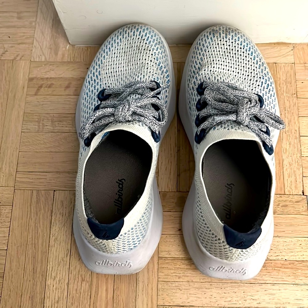 Allbirds Tree Dashers (Geyser)